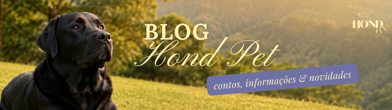 Capa blog hond pet 1600 x 450 px